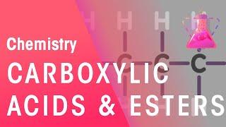 Carboxylic Acids, Typical Acids and Esters | Organic Chemistry | Chemistry | FuseSchool