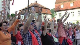 Chor der 1000 Stimmen zum Stadtjubiläum in Zeil am Main