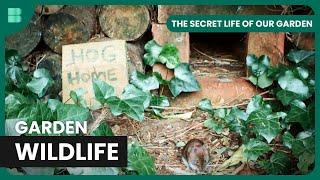 Garden Wildlife Surveillance - The Secret Life Of Our Gardens - S01 EP1 - Nature Documentary