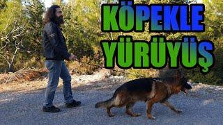 KÖPEKLE YÜRÜYÜŞ NASIL OLUR - KÖPEKLER SOL TARAFTA MI YÜRÜMELİ