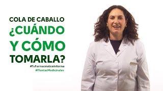 Cola de caballo, cuándo y cómo tomarla. Tu Farmacéutico Informa - #PlantasMedicinales