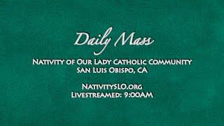Daily Mass @ Nativity 11-19-2024 9AM LS