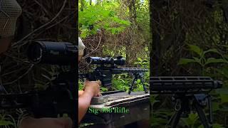 SIG 308 Rifle/sight in a RIFLE at 100 yards