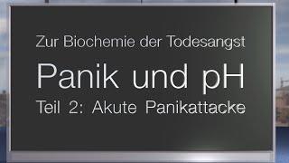 Panik und pH - zur Biochemie der Todesangst. Teil 2: CO2 und Stresshormone - die Panikattacke