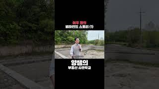 경매 여주 땅의 비하인드 스토리 (1) #경매 #여주 #임야 #투자