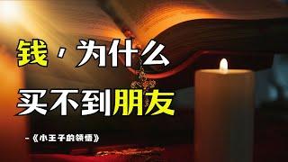 人生哲理｜對成人生活的反思｜《小王子的領悟》#人生感悟 #人生哲理