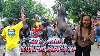 SPEKTAKULER‼️LATBERT KUDA JINGKR4K DI PUCANG AGUNG// KANDANG RAIMOND LUCU LUCU#kudajingkrak