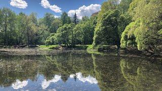Экскурсия по окрестностям Нарышкинского пруда