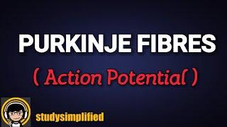 PURKINJE FIBRES- Action potential | GPAT videos