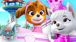 Skye & PAW Patrol Make an Emergency Rescue at the Lookout Tower! | Shimmer and Shine