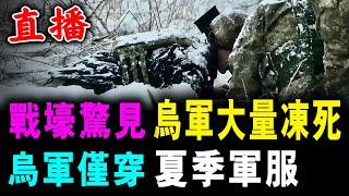 直播 戰壕驚見 烏軍大量凍死 烏軍僅穿 夏季軍服 / 新潮民 @SCM2.0