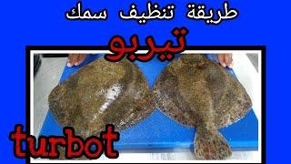 سلسلة أجي تعرف الحوت (سمك تيربو) turbo vs faux turbo