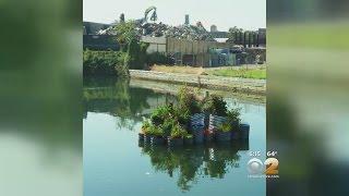 Gowanus Canal Floating Garden