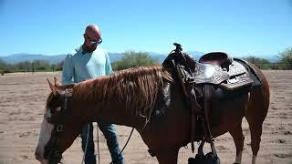 Day in the Life of Jim....Professional Reining Trainer.