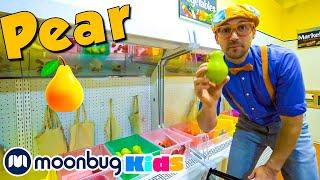 Blippi Visits a Children's Museum (Seattle's Chlidren's Museum)| Moonbug Kids TV Shows Full Episodes