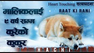 Hachi: A Dog's Tale Explained (2009) Imdb -- 8.9