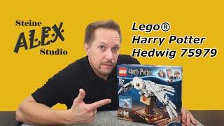 Lego 75979 Harry Potter