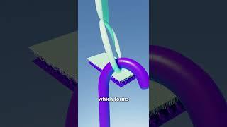 How Velcro Works 