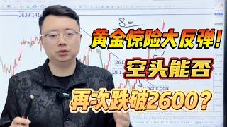 黄金惊险大反弹！空头能否再次跌破2600？【外汇交易策略】