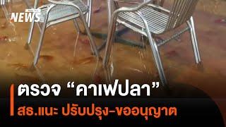 ตรวจสอบ "คาเฟปลา" สธ.แนะปรับปรุง-ขออนุญาตให้ถูกต้อง | Thai PBS News