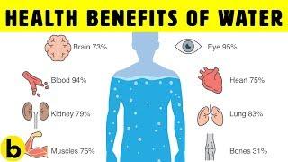 8 POWERFUL Health Benefits Of Drinking Water