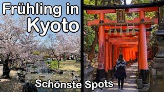 Kyoto: Stadt der Tempel & Schreine (Local Geheimtipps + Sightseeing Klassiker) - Weltreise Vlog 085