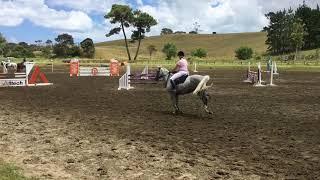 Lansong Diva Show Jumping Waitemata