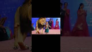 King of the Ramp!  | Lion and Baby Steal the Show #shortvideo #shorts