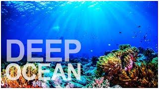DEEP OCEAN AMBIENCE for relaxing. reduce stress. helps sleep better. UNDER THE SEA