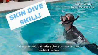 Skin Dive ‍️ PADI Open Water Diver Course • Scuba Diving Tips