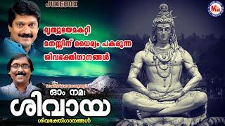 മൃത്യുഭയമകറ്റി മനസ്സിന് ധൈര്യം പകരുന്ന ശിവഭക്തിഗാനങ്ങൾ |Shiva Songs Malayalam|Hindu Devotional Songs