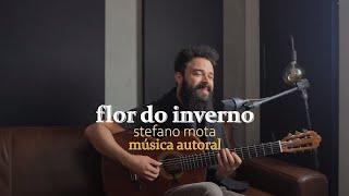 Flor do Inverno - Stefano Mota (Música Autoral)