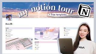 how i organize my life | aesthetic notion tour + free templates 