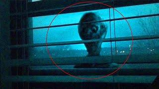 5 Mysterious Creatures Outside the Window Caught On Camera