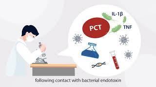 PCT: a powerful marker for sepsis and bacterial infection