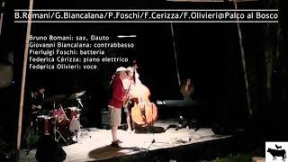 B.Romani/F.Cerizza/G.Biancalana/P.Foschi @Palco al Bosco