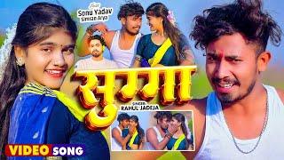 #4k Video - सुग्गा - #Rahul Jadeja - Ft. #Sonu Yadav , #Simran Arya - Sugga | New Maghi Song 2025