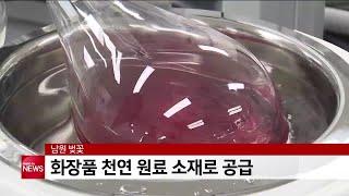 남원 벚꽃, 화장품 천연 원료 소재로 공급