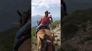 Horseback riding in Ouray Colorado