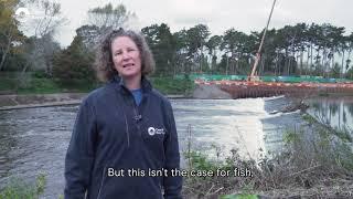 Unlocking the Severn: The weir