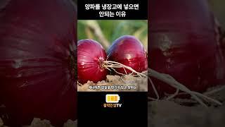 양파를 냉장고에 넣으면 안되는 이유