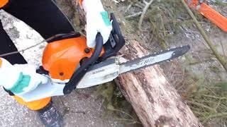 Mit der Stihl Motorsäge MS 362 C-M einen Baum in Meterstücke richtig schneiden