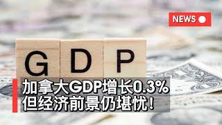 加拿大GDP增长0 3%，但经济前景仍堪忧！