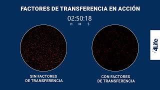 Los Factores de Transferencia en accíon