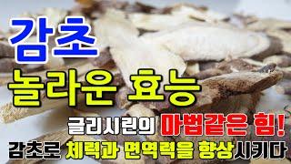 감초의 효능 7가지 & 부작용 / "감초가 주는 강력한 효능! 신기루 아닌 진실! 천연 건강 방패 ️"