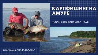 Карпфишинг на реке Амур. Кубок Хабаровского края 2018