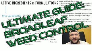 Ultimate Guide: Broadleaf Weed Control // Synthetic Auxins