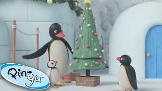 Pingu And His Family Get Ready For Christmas! @Pingu  Pingu In The City