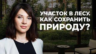 Участок в лесу. Как сохранить природу? 5 правил