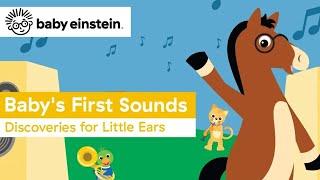 Baby's First Sounds | Baby Einstein Classics | Learning Show for Toddlers | Kids Cartoons